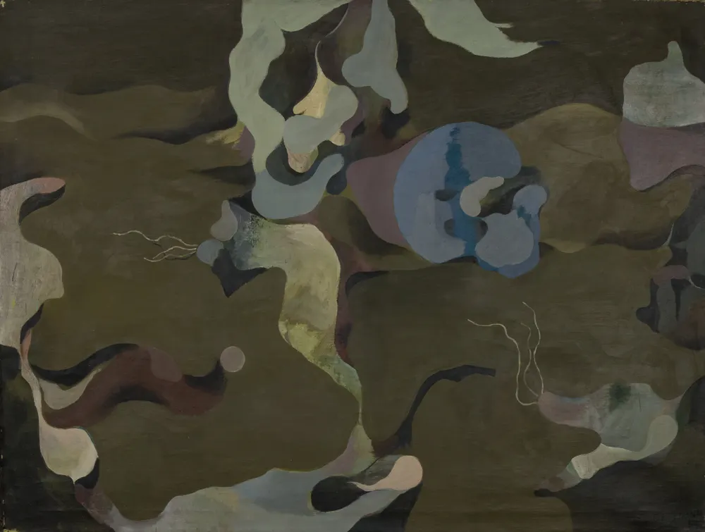 GB-M1156 – Bergmann Bergmann: Afrikanische Vegetation, 1955/1956