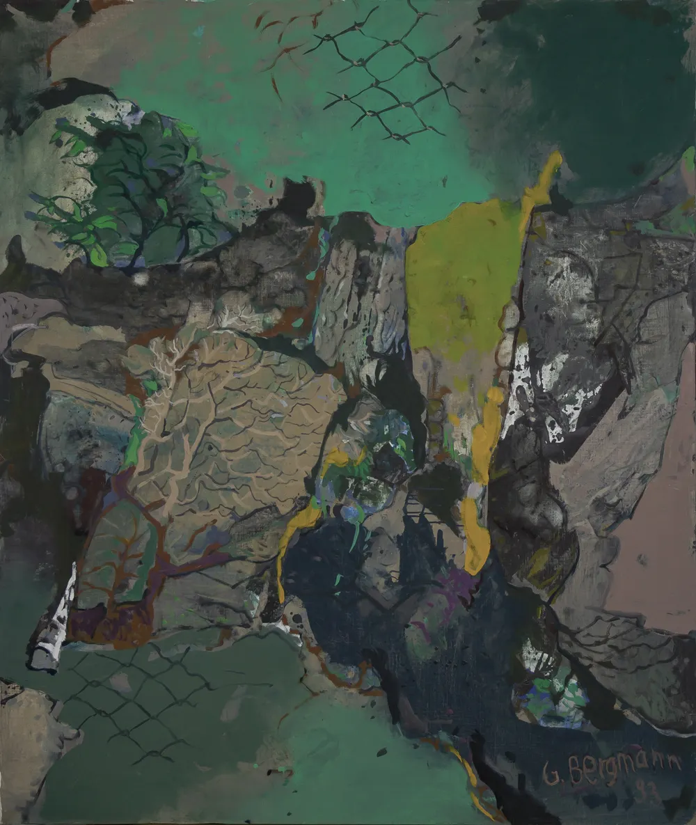 GB-M1069 – Bergmann Bergmann: Moos und Steinflechten, 1993