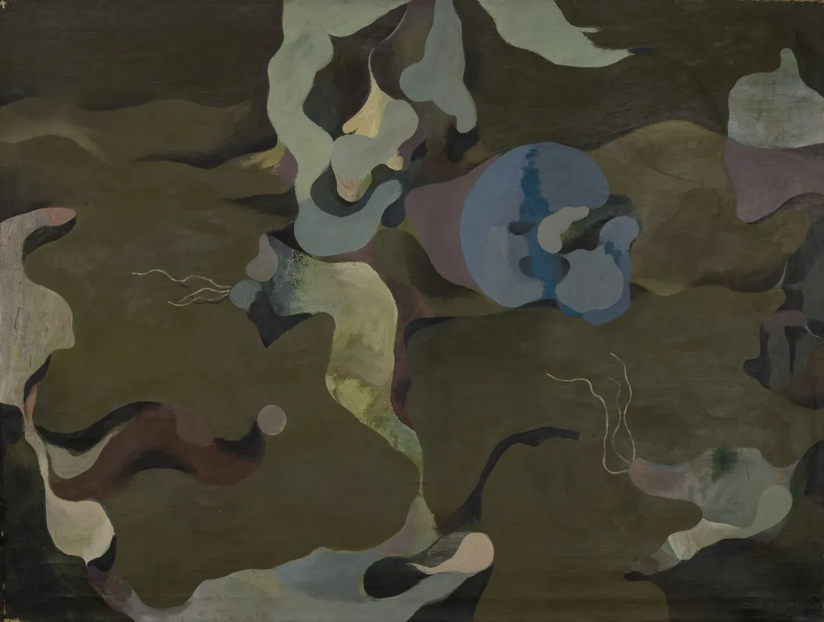 GB-M1156 – Bergmann Bergmann: Afrikanische Vegetation, 1955/1956